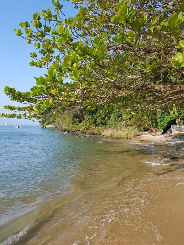 Cabana A Toca da Garoupa - Prainha Branca - Imagem 5