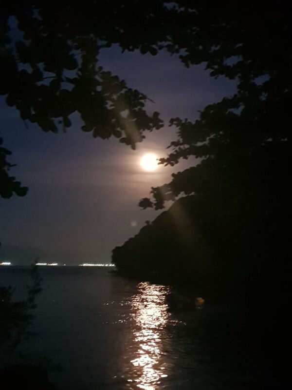 Cabana A Toca da Garoupa - Prainha Branca - Imagem 8