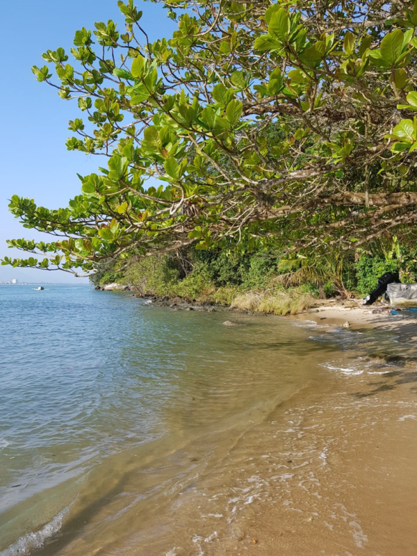 Praia do Jorge - Praia Branca