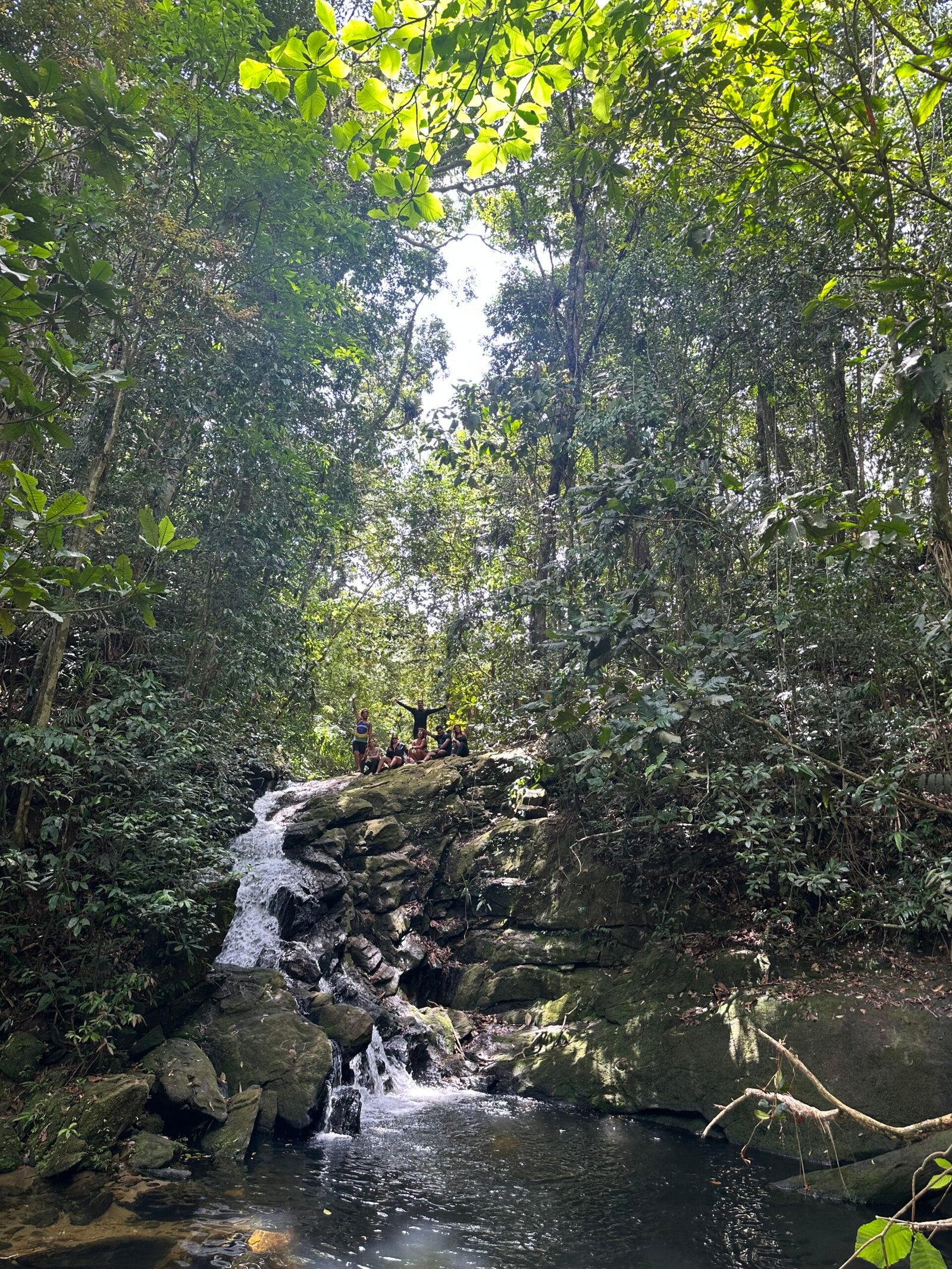 Banho de Mata e Yoga - Imagem 5